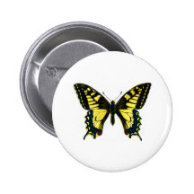 Papilio machaon button