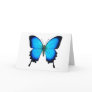 Papilio Ulysses Butterfly Card
