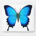 Papilio Ulysses Butterfly Mousepad