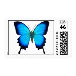 Papilio Ulysses Butterfly Postage