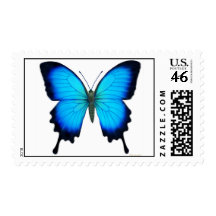 Papilio Ulysses Butterfly Postage