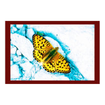 papillon 2 posters