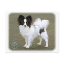 Papillon 8M062D-17 postcards