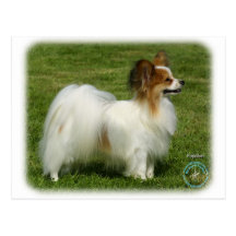 Papillon 8T005D-24 Post Cards