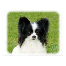 Papillon 9T056D-088 Postcard