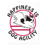 Papillon Agility Happiness Post Cards
