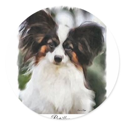 Papillon Art