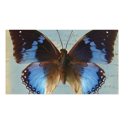 Papillon bleu business card template (front side)