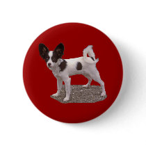 Papillon Dog buttons