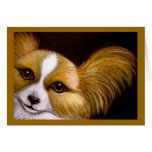 PAPILLON DOG CLOSE UP CARD PAPILLON DOG CLOSE UP CARD