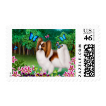 Papillon Dog in Garden Postage