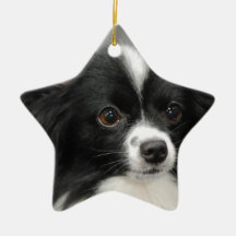 Papillon Dog Ornament