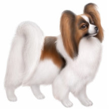 Papillon Dog Ornament Acrylic Cut Outs