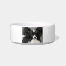 Papillon Dog Pet Bowl