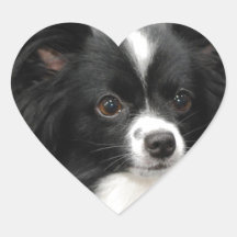 Papillon Dog  Stickers