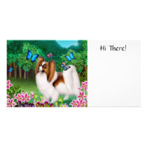 Papillon in Garden Photo Card photo cards by twopurringcats Papillon in Garden Photo Card photo cards