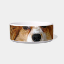 Papillon Pet Bowl Cat Bowl
