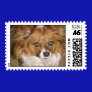 Papillon Postage Stamp