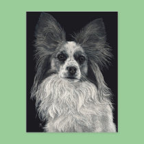 Papillon Postcard - "Sparkles" postcards