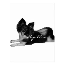 Papillon Postcards