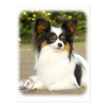 Papillon Postcards