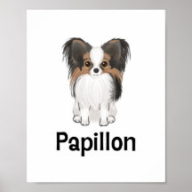 Papillon Poster