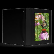 papillon sur la fleur Binder binders