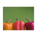 paprika postcards