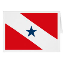 Para Flag Greeting Card by FlagTshirts Para Flag Greeting Card