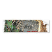 Para-Views bumper bumper stickers by paraviews Para-Views bumper bumper stickers