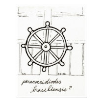 Paracoccidioides print