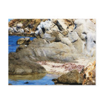 Paradise Beach - Mykonos, Greece postcards by foreverspring Paradise Beach - Mykonos, Greece postcards