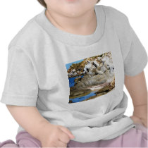 Paradise Beach - Mykonos, Greece t-shirts by foreverspring Paradise Beach - Mykonos, Greece t-shirts