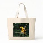 Paradise  Bird II Canvas Bags