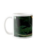 Paradise  Bird II Mugs