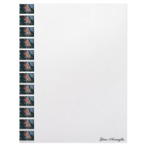 Paradise Bird letterhead