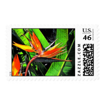 PARADISE BIRD postage by MARISHKA PARADISE BIRD postage