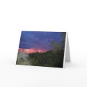 PARADISE cards