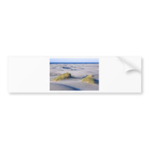 Paradise coastline with wind textured sand dunes bumper sticker