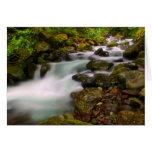 Paradise Creek cards