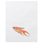 Paradise Fish. flyers