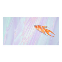 Paradise Fish. Photo Card Template