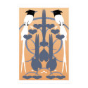 Paradise Flycatchers posters