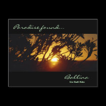 Paradise Found postcards