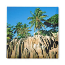 Paradise Found, Seychelle Magnet