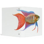 Paradise Gourami Fish Binder Paradise Gourami Fish Binder