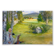 Paradise in Sweden 1910 Photographic Print