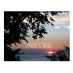 Paradise Is Calling Postcard