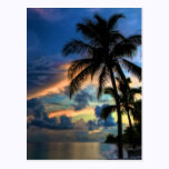 Paradise... is where you are! postcards