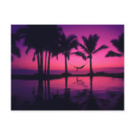 multiple, products, selected, beach, sunset,